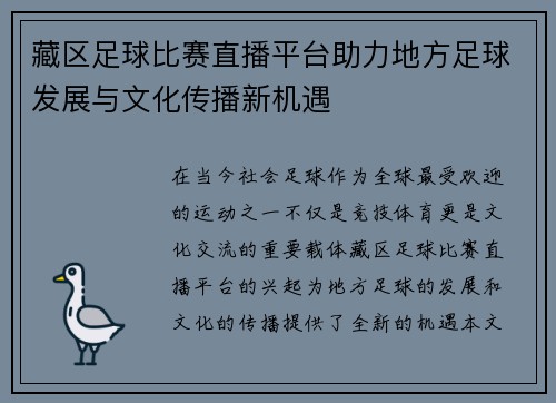 藏区足球比赛直播平台助力地方足球发展与文化传播新机遇